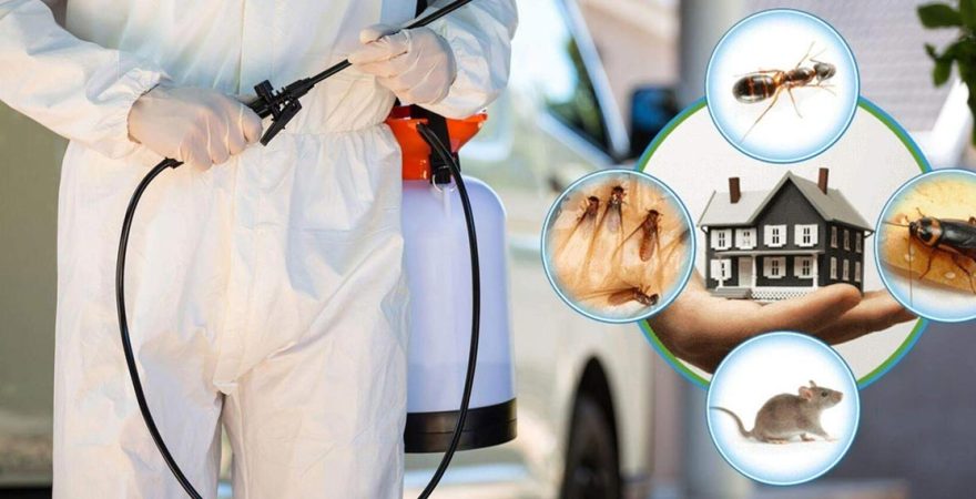 Havran Böcek İlaçlama