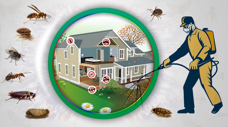 Havran Böcek İlaçlama