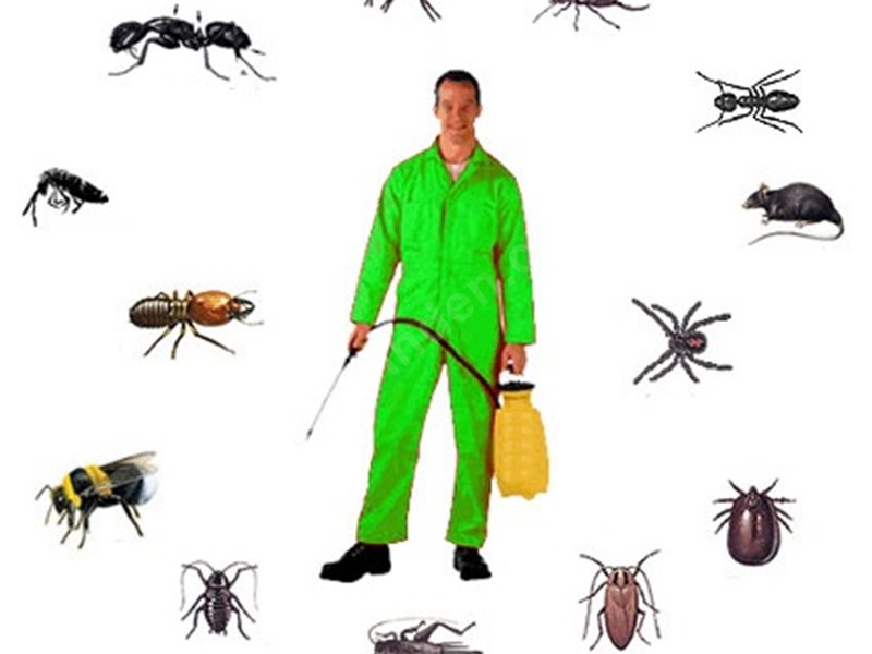 Havran Böcek İlaçlama